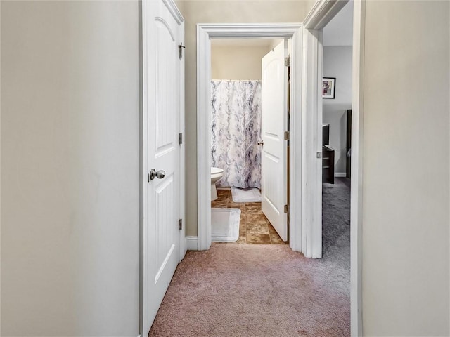 hallway with carpet