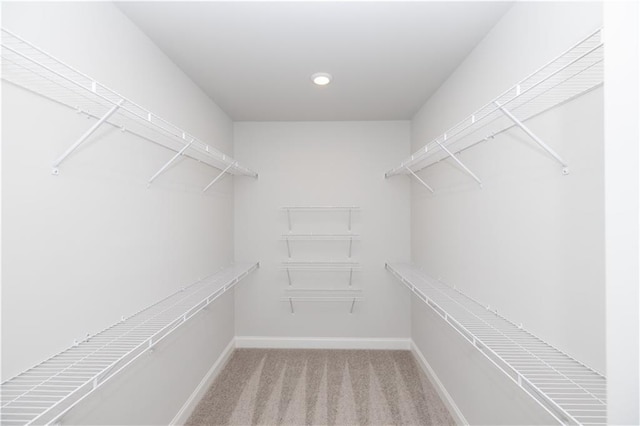 173 Basil St, Cumming, GA 30040 - walk in closet with light colored carpet