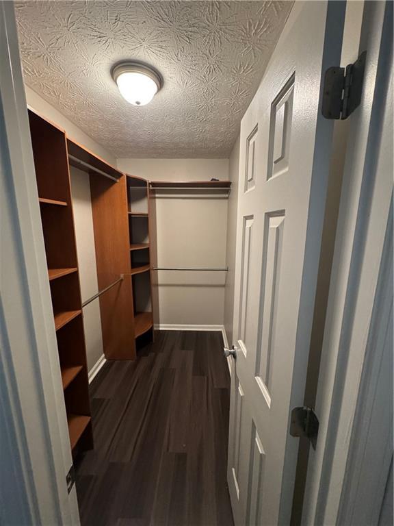 walk in closet with dark wood-style flooring