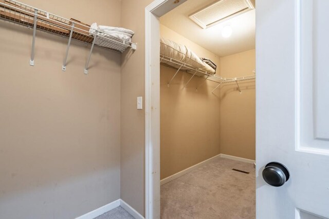 walk in closet featuring light carpet