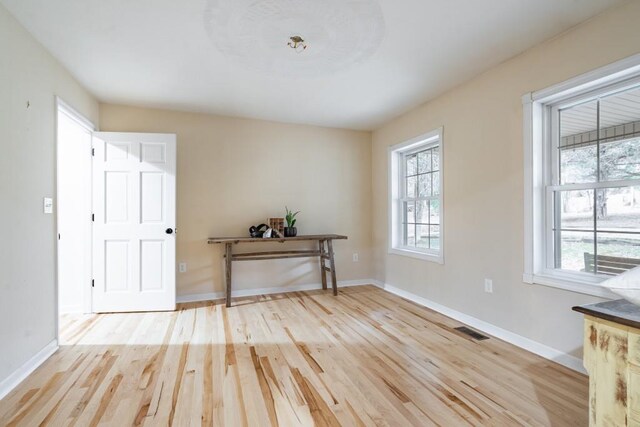 foyer with a wealth of natural light and light hardwood / wood-style floors