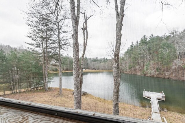 property view of water with a dock