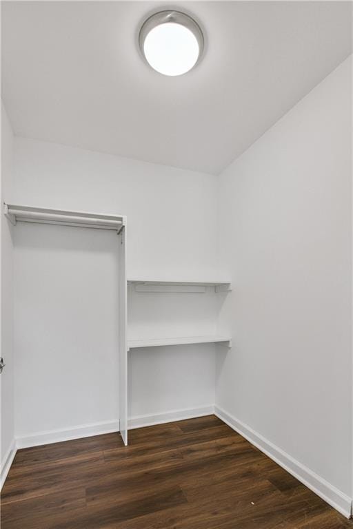 walk in closet with dark wood finished floors