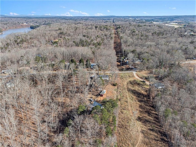 birds eye view of property with a water view and a forest view