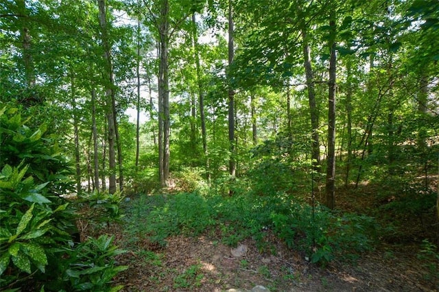 3423 Mulberry Lane Ct, Dacula, GA 30019 - view of tree filled area