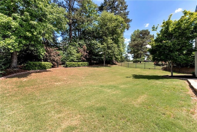 view of yard