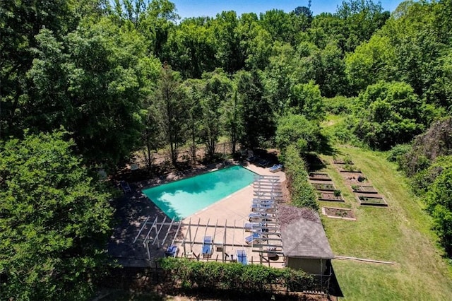 view of swimming pool