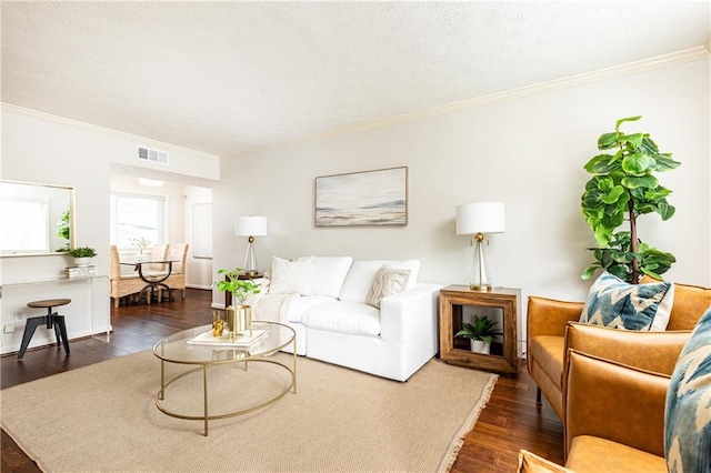 living room featuring ornamental molding and dark hardwood / wood-style floors