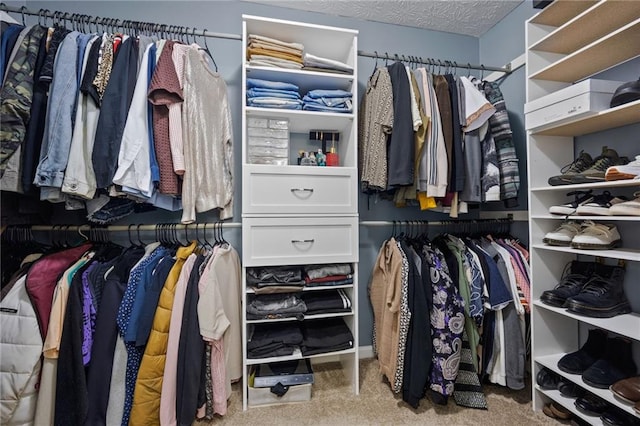 spacious closet featuring carpet flooring