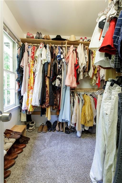 3719 Northbrook Ct, Atlanta, GA 30340 - spacious closet featuring carpet flooring