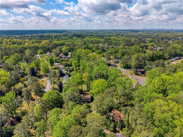 3719 Northbrook Ct, Atlanta, GA 30340 - bird's eye view of a heavily wooded area