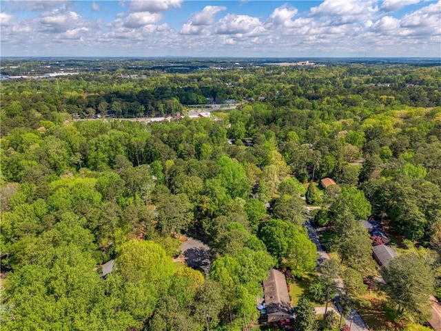 3719 Northbrook Ct, Atlanta, GA 30340 - bird's eye view of a forest