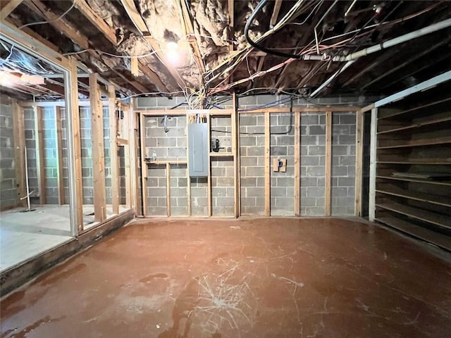 basement with electric panel