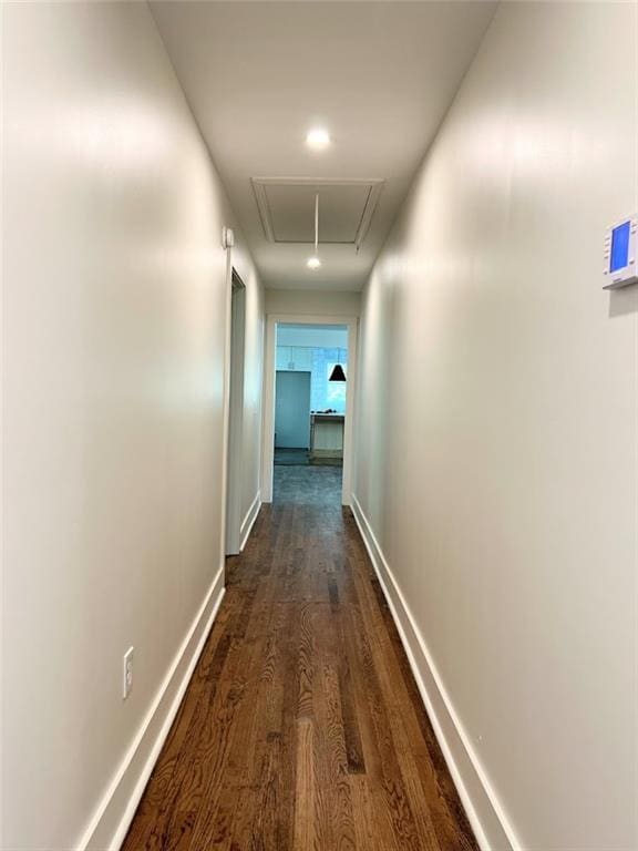 corridor featuring dark hardwood / wood-style flooring