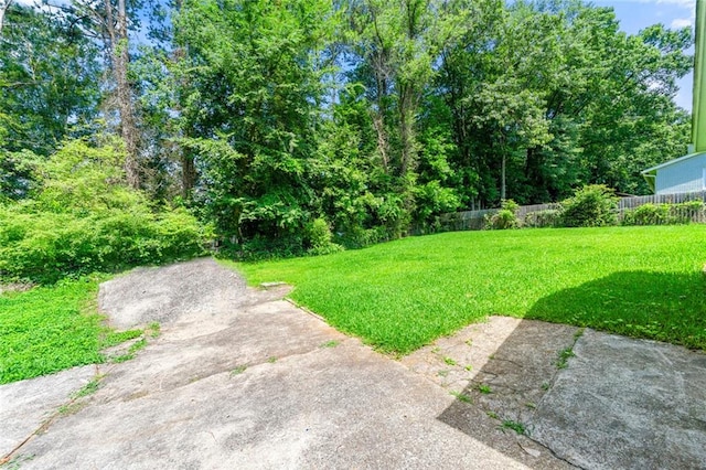 2117 Chestnut Hill Cir, Decatur, GA 30032 - view of yard