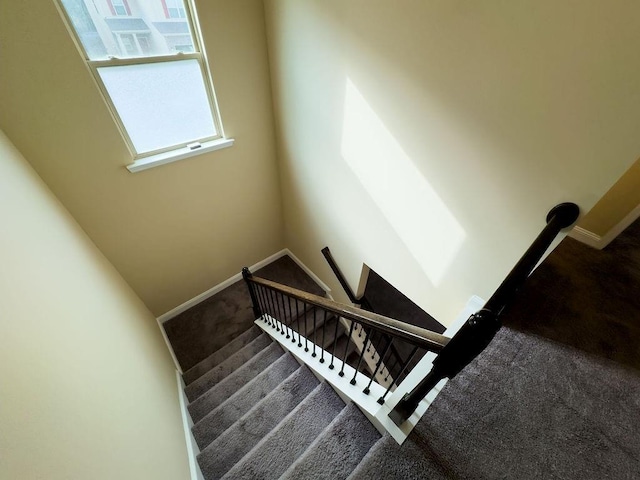 stairs featuring carpet and baseboards