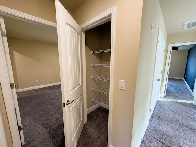 closet with visible vents