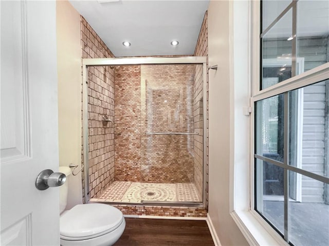 89 Elsberry Rd, Dallas, GA 30157 - full bathroom with wood finished floors, a stall shower, toilet, recessed lighting, and healthy amount of natural light