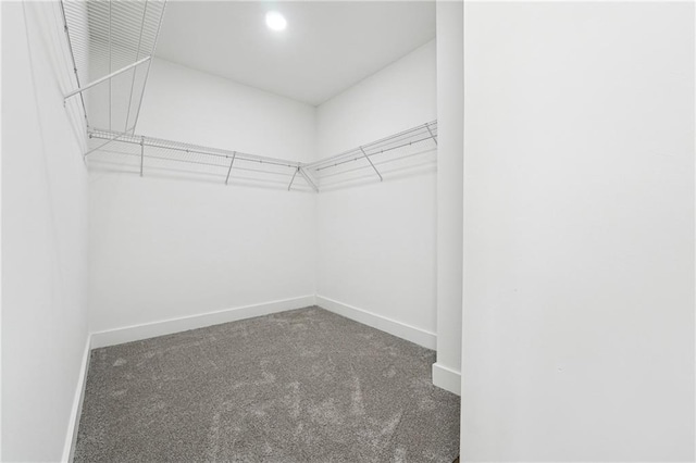 spacious closet with dark colored carpet