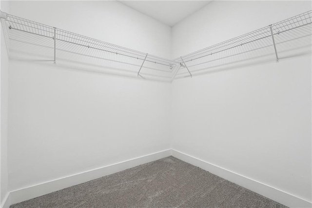 spacious closet with carpet floors