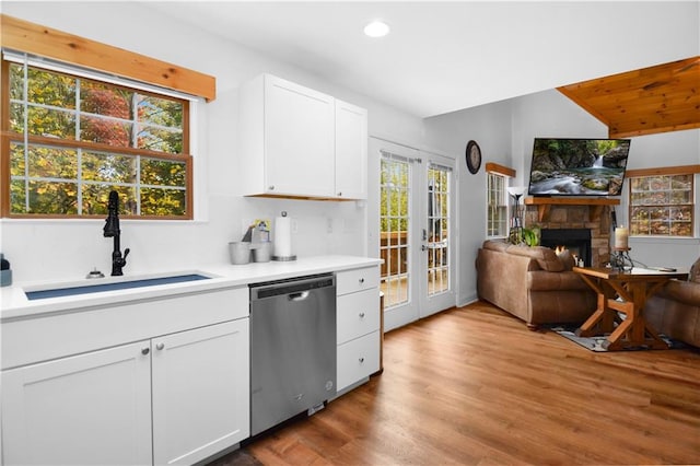 kitchen featuring light wood-type flooring, a fireplace, plenty of natural light, and stainless steel dishwasher