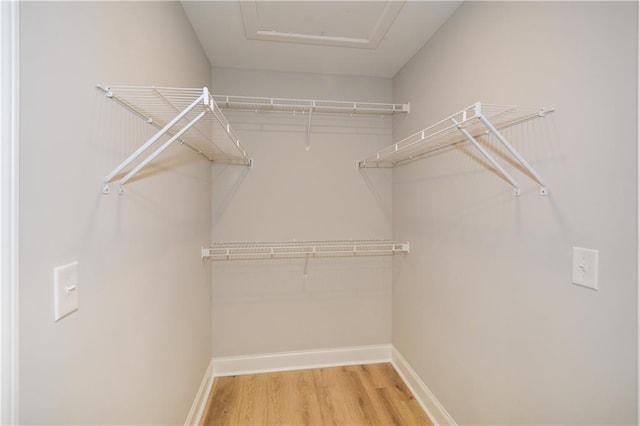 walk in closet featuring hardwood / wood-style floors