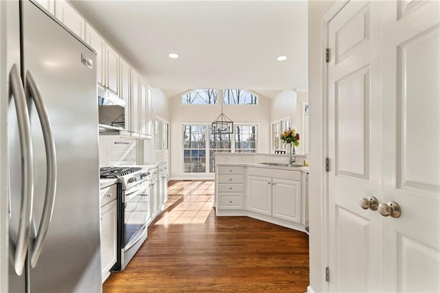 kitchen featuring dark wood-type flooring, under cabinet range hood, appliances with stainless steel finishes, white cabinets, and a sink