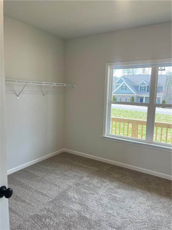 walk in closet with carpet