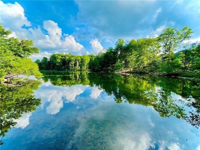 view of water feature featuring a forest view