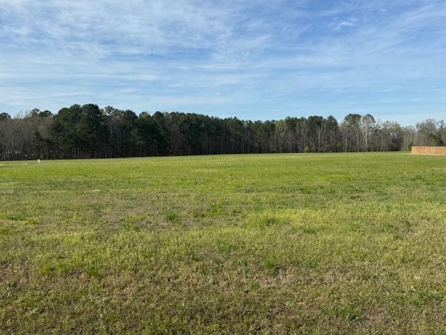 Listing photo 2 for LOT19 County Road 580, Centre AL 35960