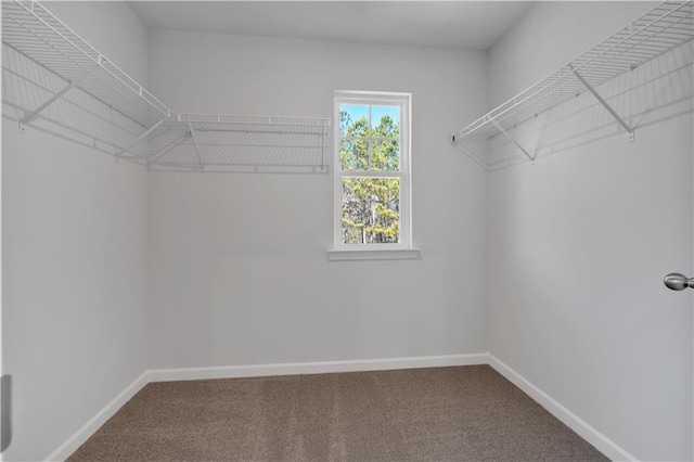 16 Grove Pointe Way SE, Cartersville, GA 30120 - walk in closet featuring carpet