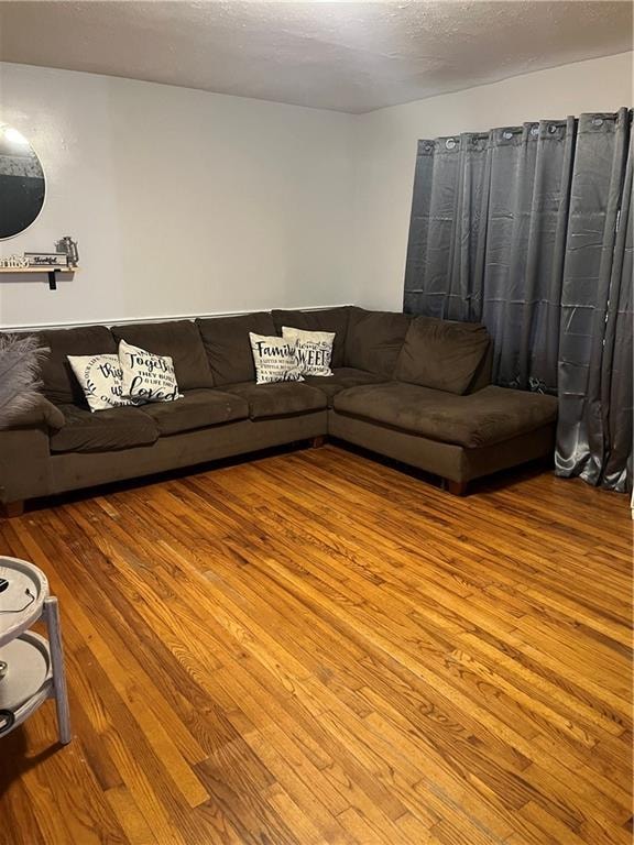 living room with hardwood / wood-style flooring