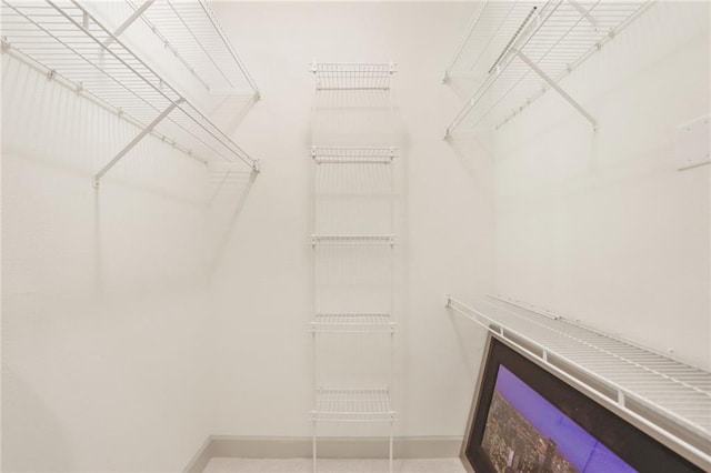 view of walk in closet