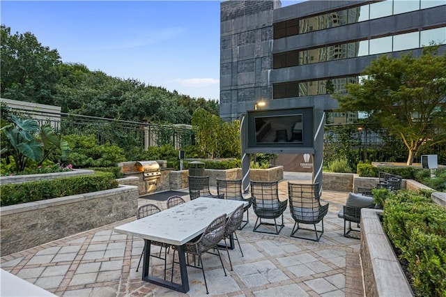 view of patio / terrace with outdoor dining space and area for grilling