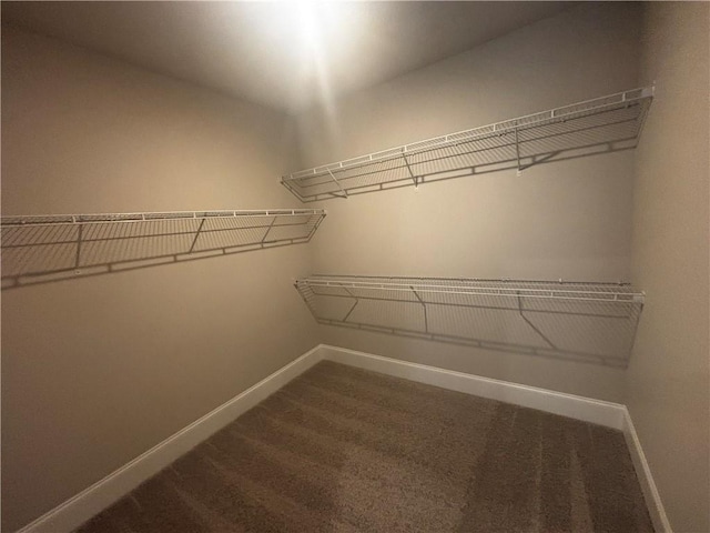 walk in closet with dark carpet