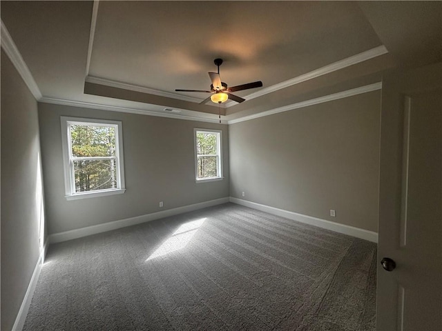 unfurnished room with carpet flooring, plenty of natural light, ceiling fan, and a tray ceiling