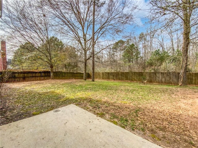 view of yard with a patio area