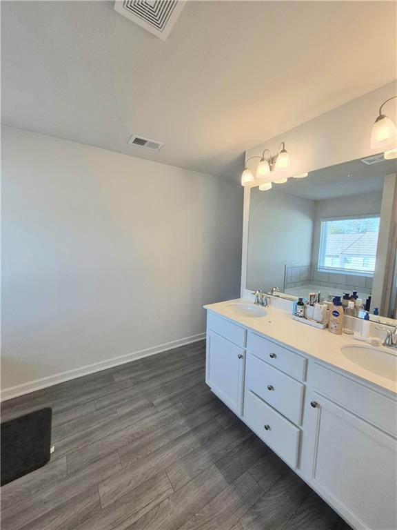 bathroom with hardwood / wood-style flooring and vanity