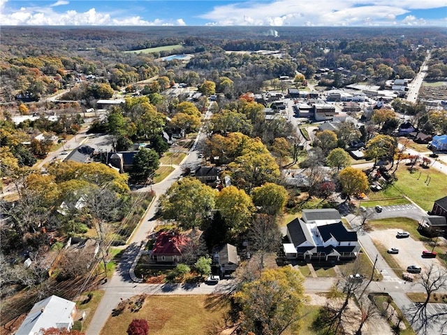 bird's eye view