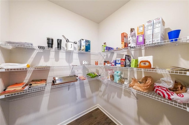 249 Creekview Way, Dallas, GA 30132 - view of pantry