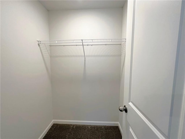 walk in closet with carpet