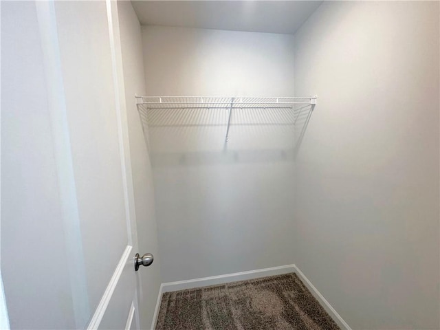 spacious closet with carpet