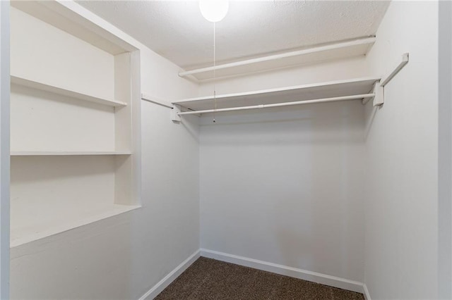 walk in closet with carpet flooring