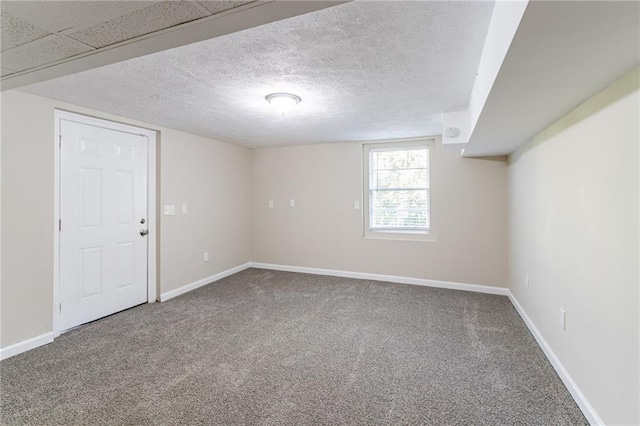 basement featuring carpet