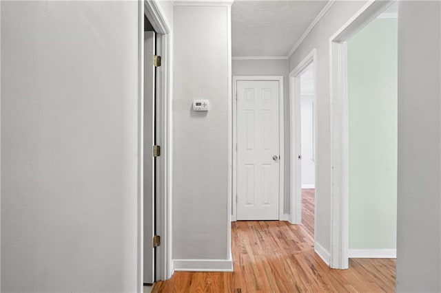 1891 8th St, Atlanta, GA 30341 - hall with ornamental molding, light wood finished floors, baseboards, and a textured ceiling