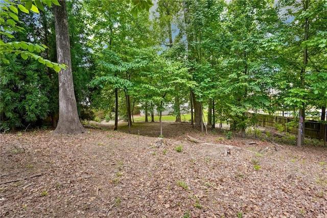 1891 8th St, Atlanta, GA 30341 - view of undeveloped land