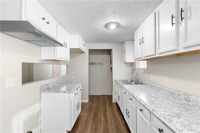 kitchen with white cabinetry, sink, and dark wood-type flooring