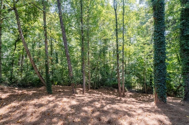 4166 Riverhill Ct NE, Roswell, GA 30075 - view of wooded area