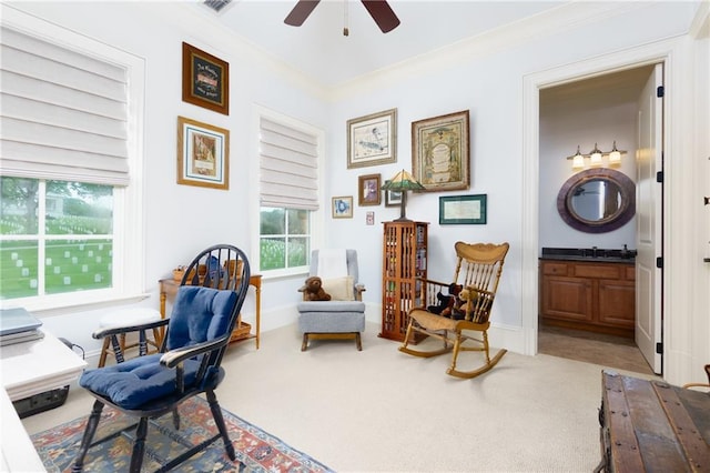 351 NE Washington Ave NE Unit 307, Marietta, GA 30060 - office area featuring a ceiling fan, carpet flooring, crown molding, baseboards, and a sink