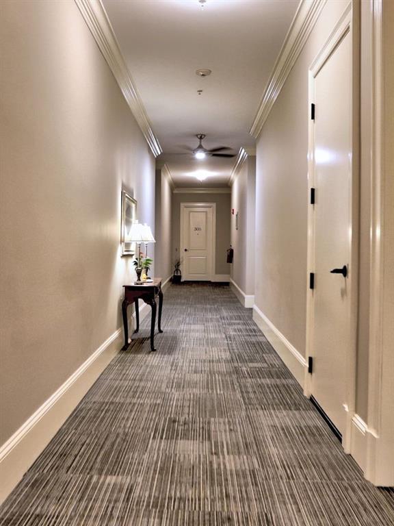 351 NE Washington Ave NE Unit 307, Marietta, GA 30060 - corridor featuring carpet, crown molding, and baseboards